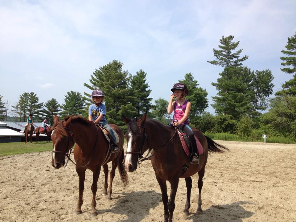 Meet our Horses Horse Amour